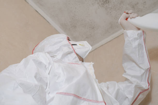 Best Certified Mold Removal  in Brooksi, DE